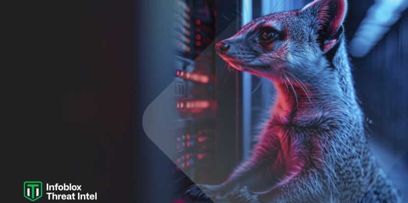 Infoblox Threat Intel descubre Muddling Meerkat, un agente DNS que controla el Gran Firewall de China