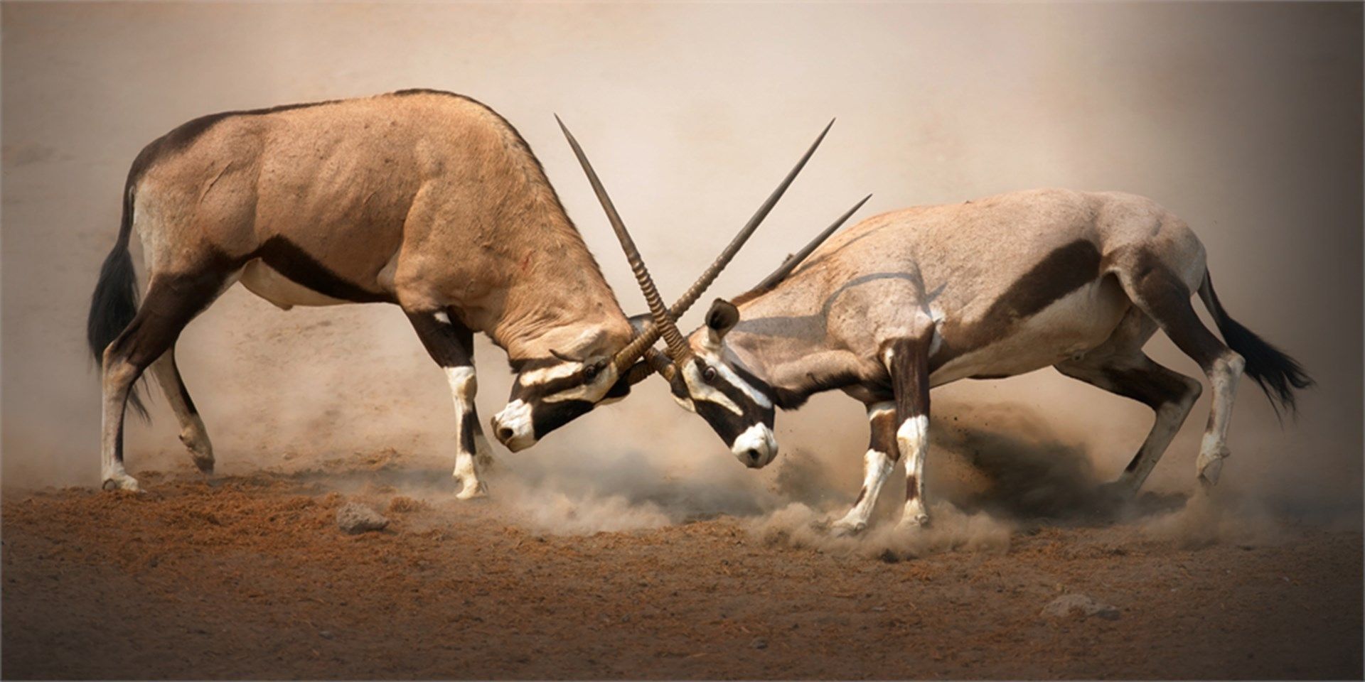 Polémicas bipolares de la tecnología