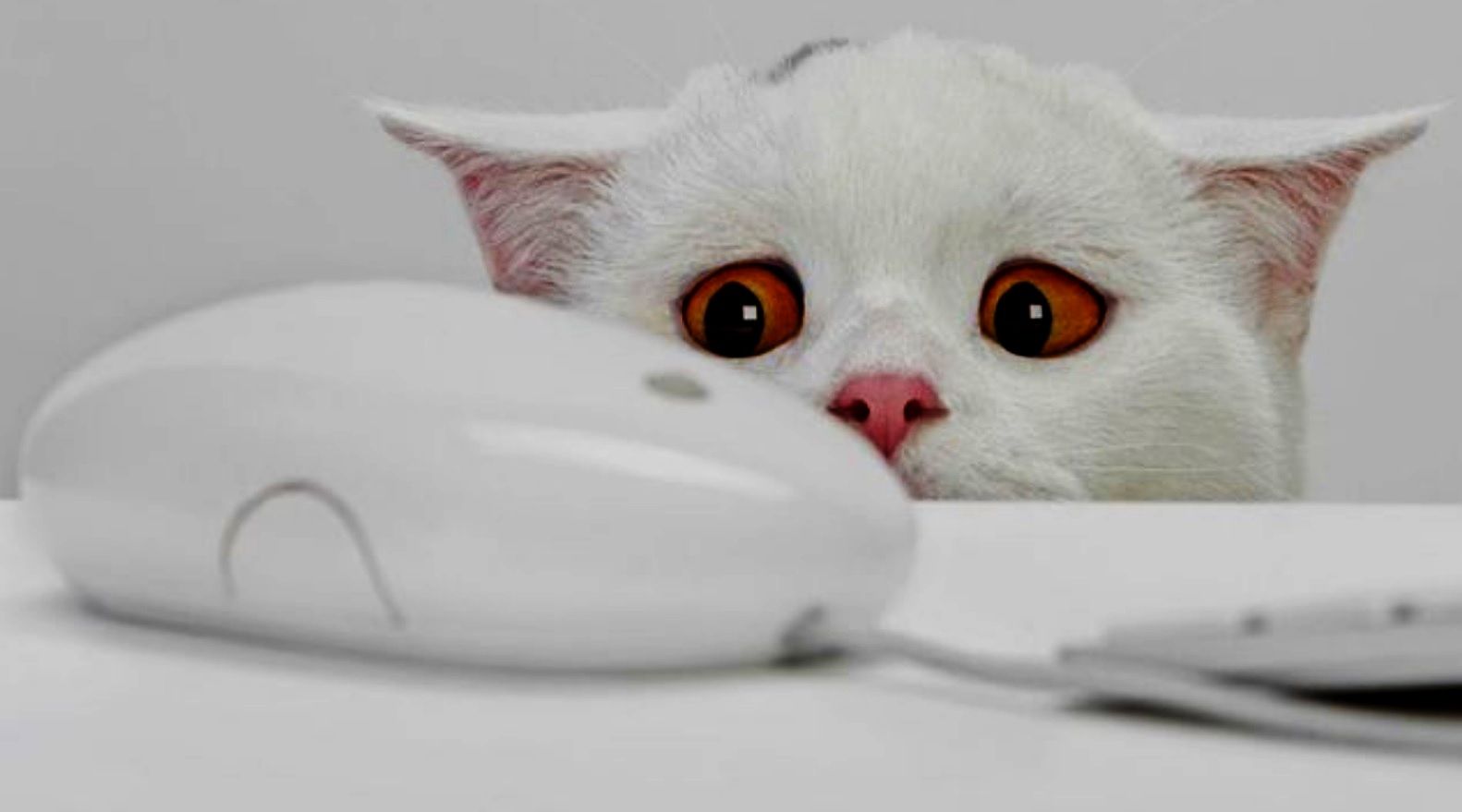 Malentendidos chanantes de la tecnología