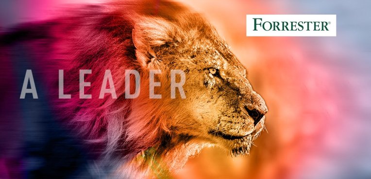 Check Point Software, líder en suites de seguridad para endpoints según Forrester