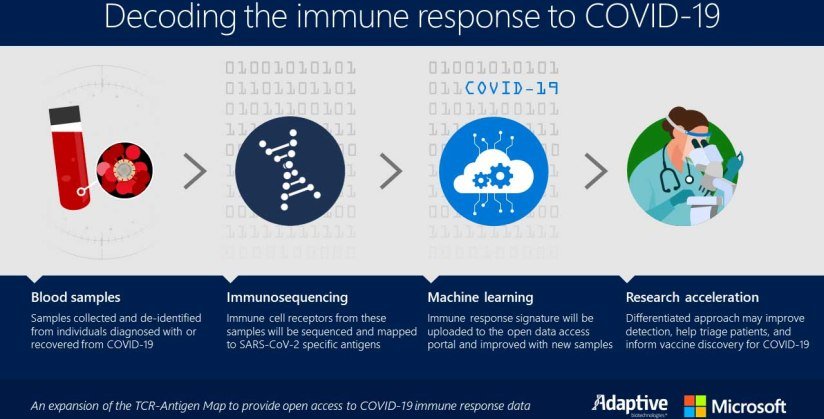 Microsoft y Adaptive Biotechnologies analizan el COVID-19