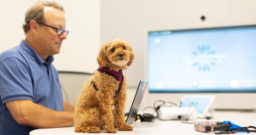 Cisco ofrece consejos y herramientas gratis de seguridad para el trabajo remoto