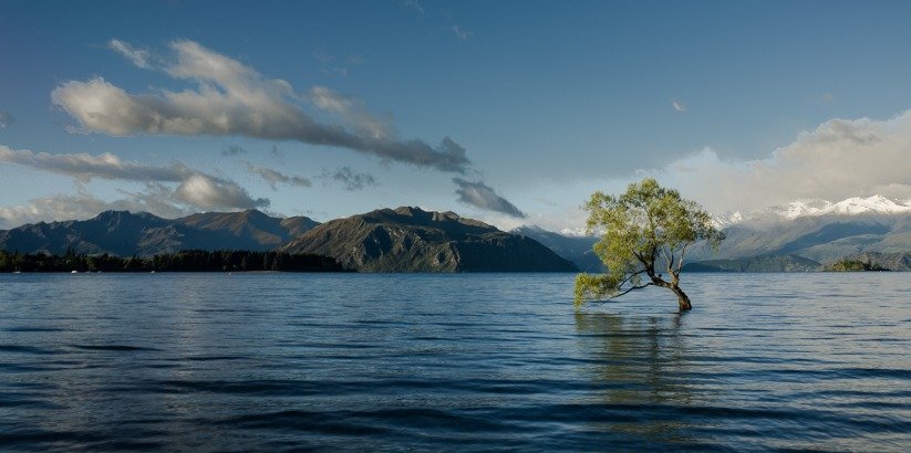 Microsoft anuncia nuevas iniciativas para la conservación de la biodiversidad y la mejora del medioambiente