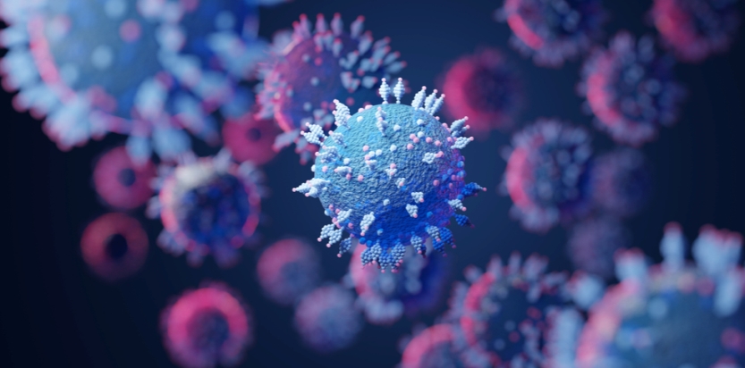 Phising sobre Ómicron