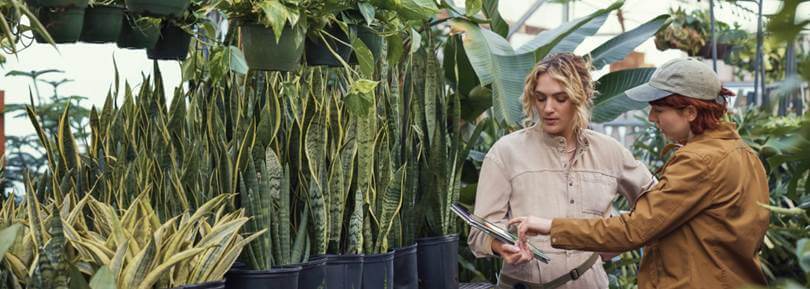 HP anuncia sus progresos para conseguir un impacto sostenible