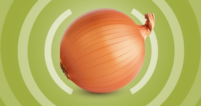 ¿Es la Red TOR anónima e inexpugnable?