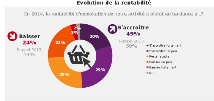 El 14 por ciento de los eCommerce tiene el objetivo de rentabilizar su web en 2015