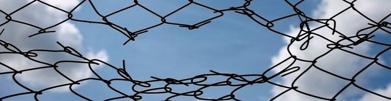 El impacto de las brechas de seguridad en la confianza de los consumidores