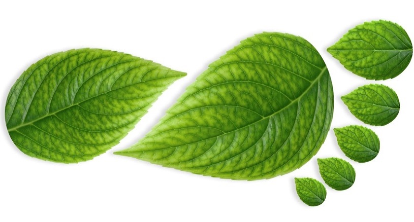 Crece la huella ecológica de las nuevas tecnologías