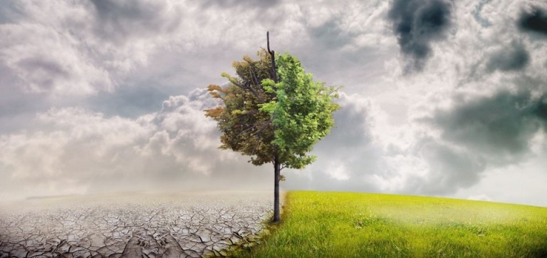 Tecnología y cambio climático: personalizando seguros con Big Data