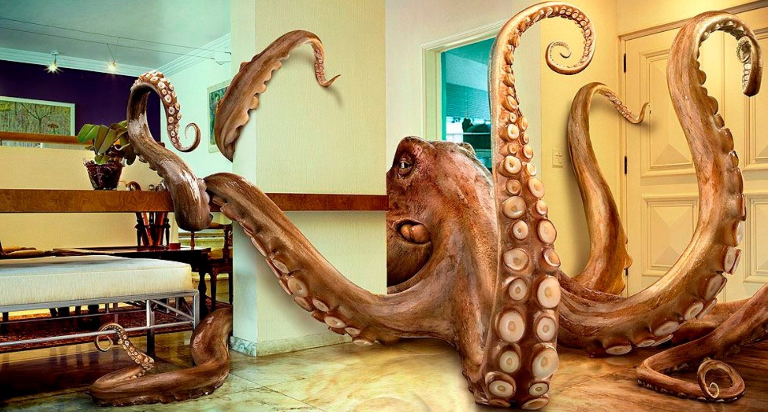 Más perdidos que un pulpo en el garaje de Steve Jobs