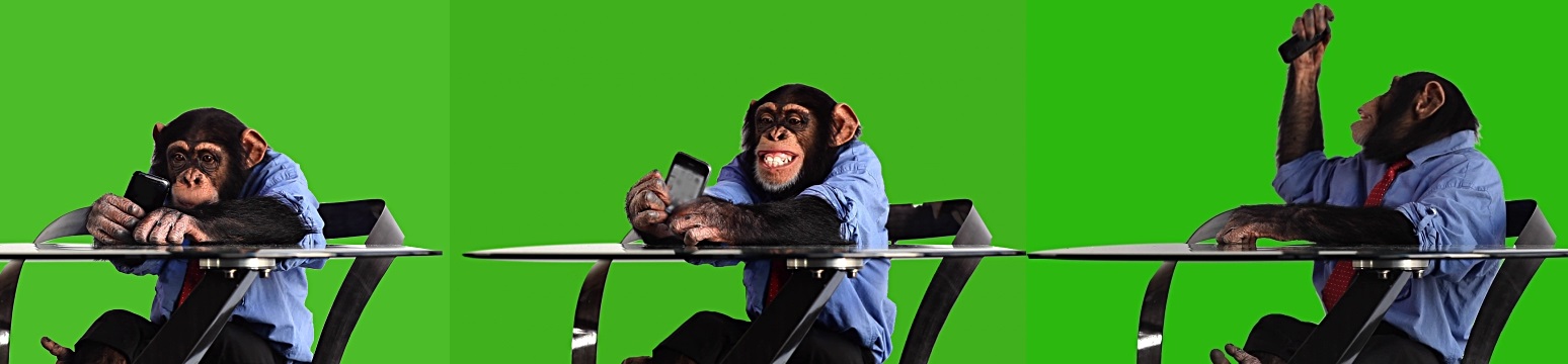 Dos pesadillas derivadas de modas tecnológicas