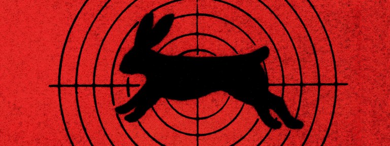 Confirmada la relación del ransomware Bad Rabbit con ExPetr