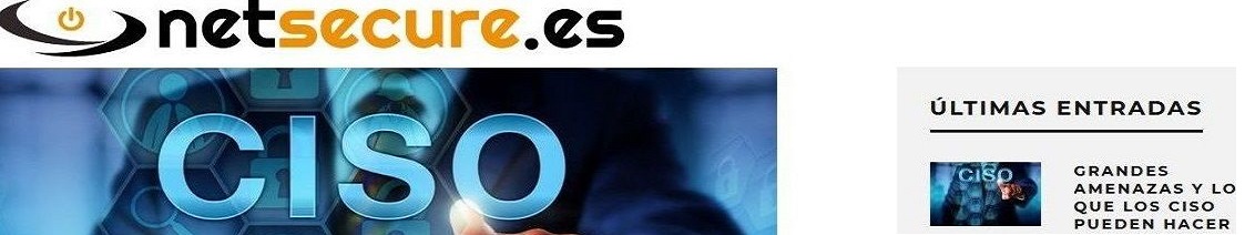 Artículo en netsecure sobre la gestión empresarial de las ciberamenazas