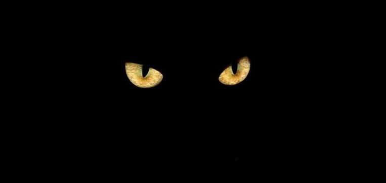 El lado más negro del Black Friday