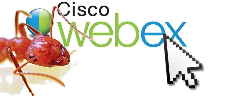 Los ataques dirigidos a la principal solución de conferencias web aumentan su popularidad