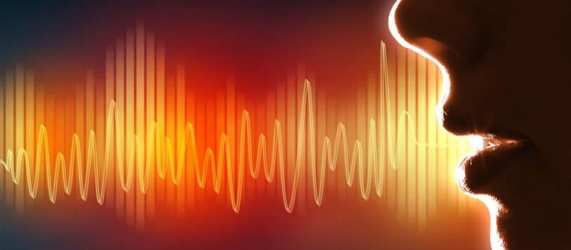 Aplicaciones de la biometría vocal en el sector turismo