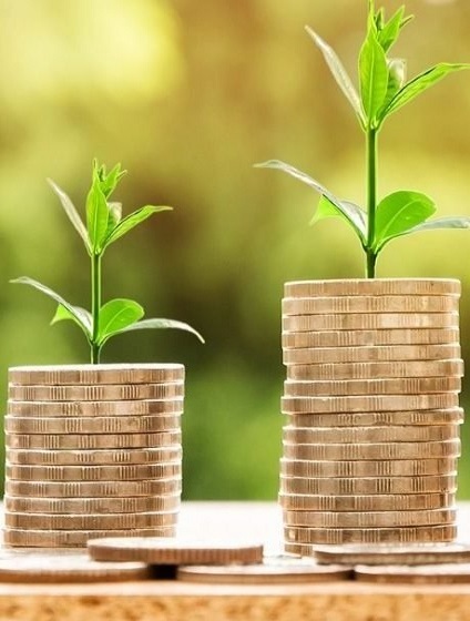 La inversión pública en tecnología estaba creciendo hasta marzo