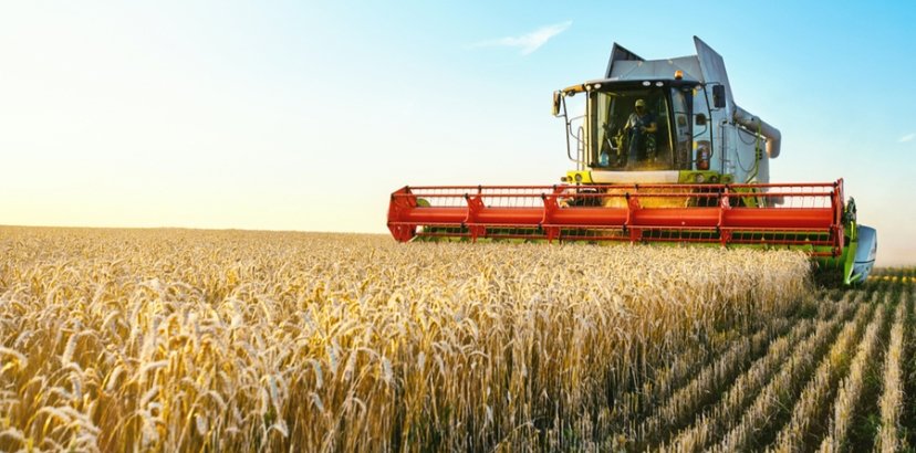 El sector primario constituye cerca del 4 por ciento de las facturas electrónicas en España