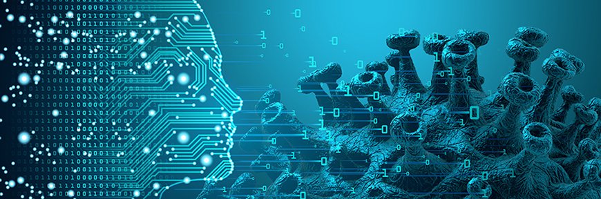 La COVID-19 empodera a los profesionales con teletrabajo