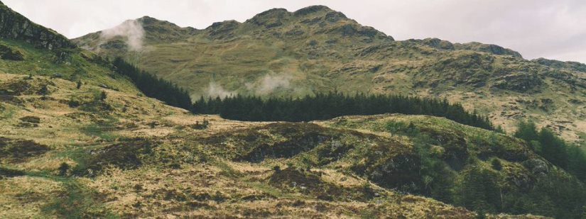 5 proyectos españoles de Inteligencia Artificial para el medioambiente premiados por Microsoft