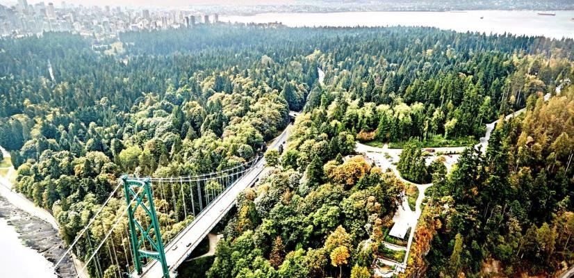 Cisco Foundation destina 100 millones de dólares a afrontar la crisis climática