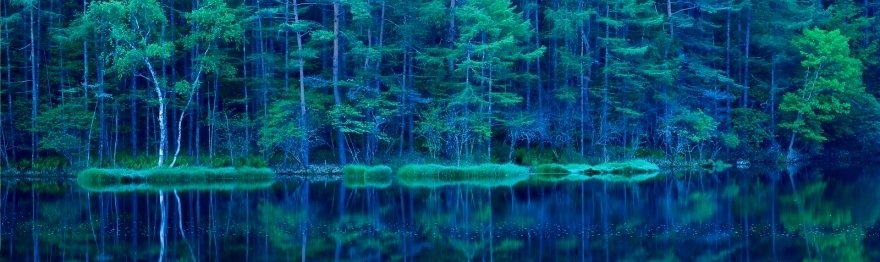 HPE GreenLake incluye soporte de servicios cloud para Microsoft Azure Stack HCI y Microsoft SQL Server