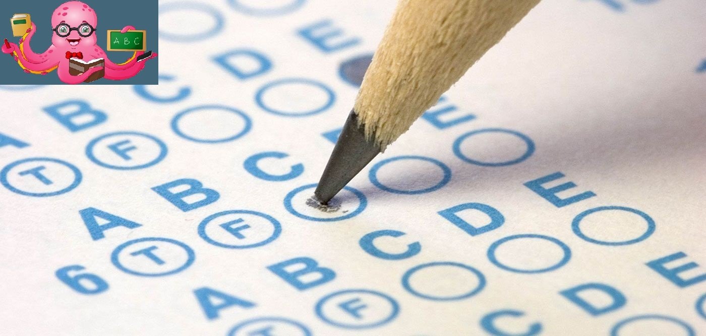 Solución al test tecnológico del Pulpo de 2021