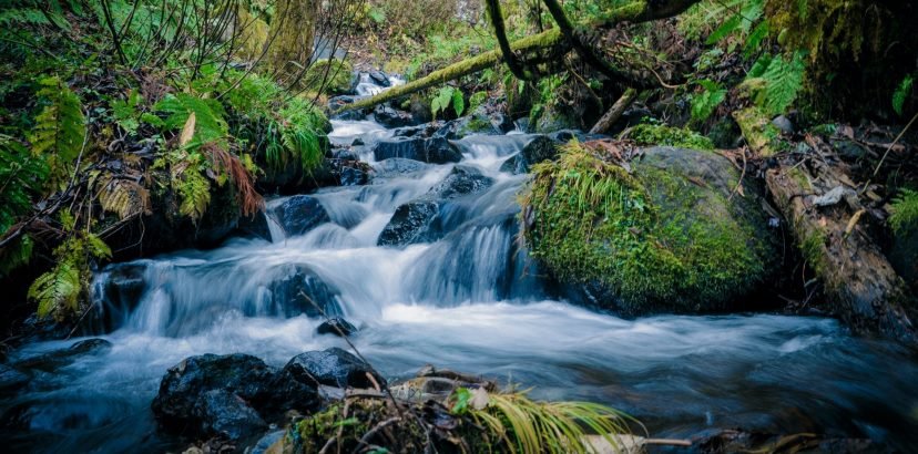 Cinco claves para fomentar la sostenibilidad en la industria tecnológica