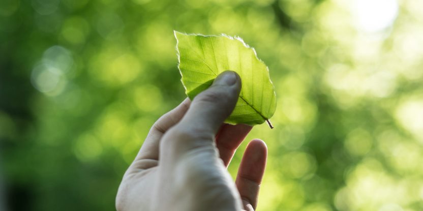 La digitalización en pro del Medio Ambiente