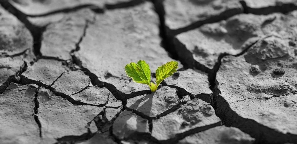 El papel de la tecnología en la resiliencia que las organizaciones van a requerir