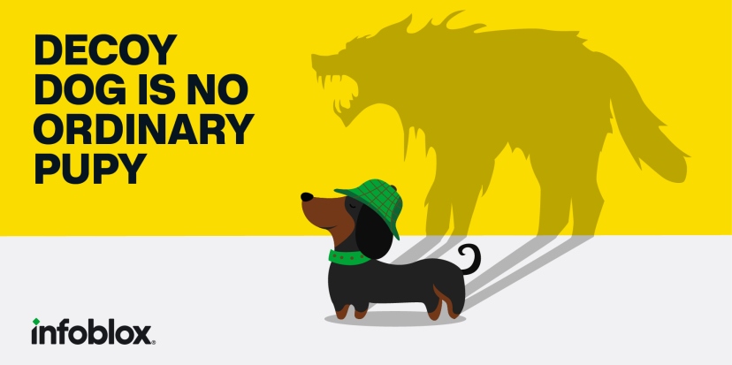 Decoy Dog se sofistica después de su identificación por Infoblox