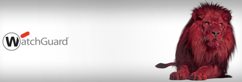 WatchGuard, otra vez Campeón en la Matriz de Liderazgo de Ciberseguridad de Canalys