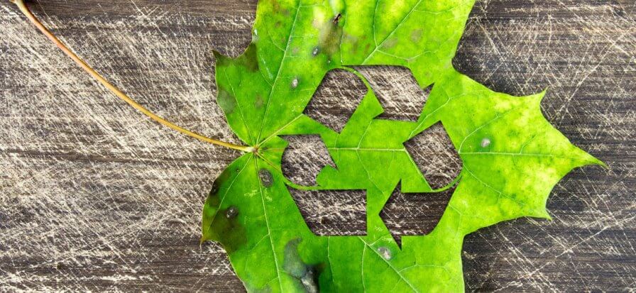 TD SYNNEX consolida su oferta de economía circular en Europa con productos remanufacturados certificados Cisco Refresh