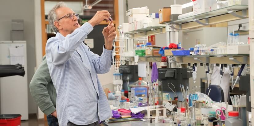 La UV busca desarrollar el cerebro de los ordenadores cuánticos del futuro