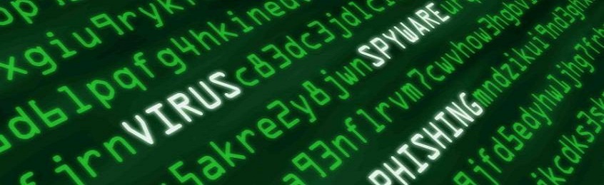 Ataques cibernéticos a organismos públicos de todo el mundo