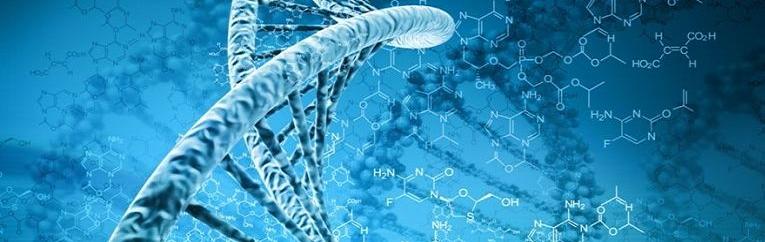 Made of Genes selecciona la nube de IBM