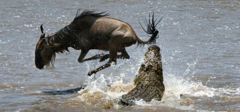 StrongPity, el watering-hole que atrapa a miles de usuarios que buscan cifrado