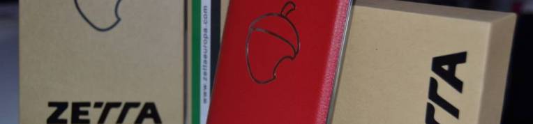 En la bellota de Zetta había gato encerrado, y era Xiaomi